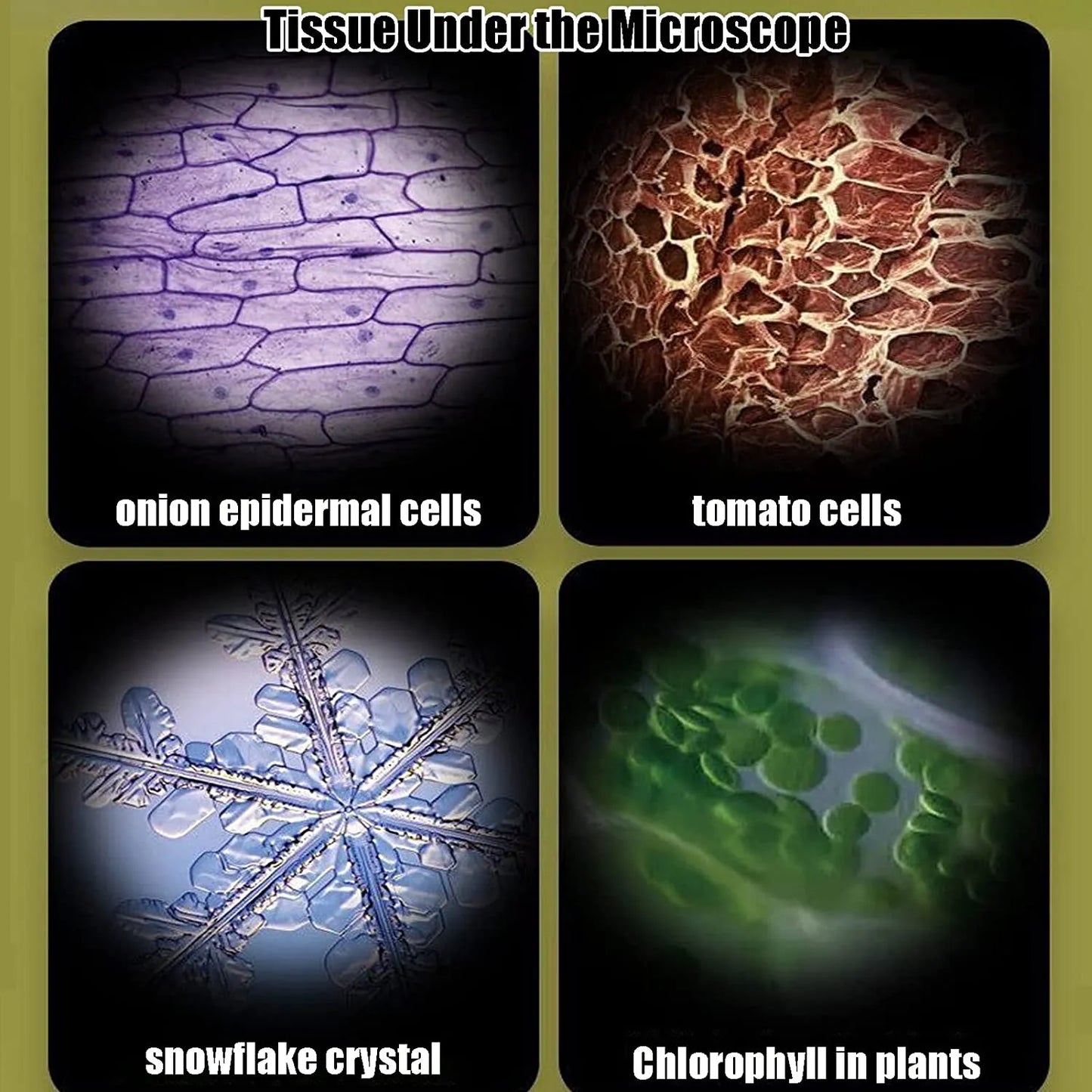 Kids Toys Science Experiment Pocket Microscope